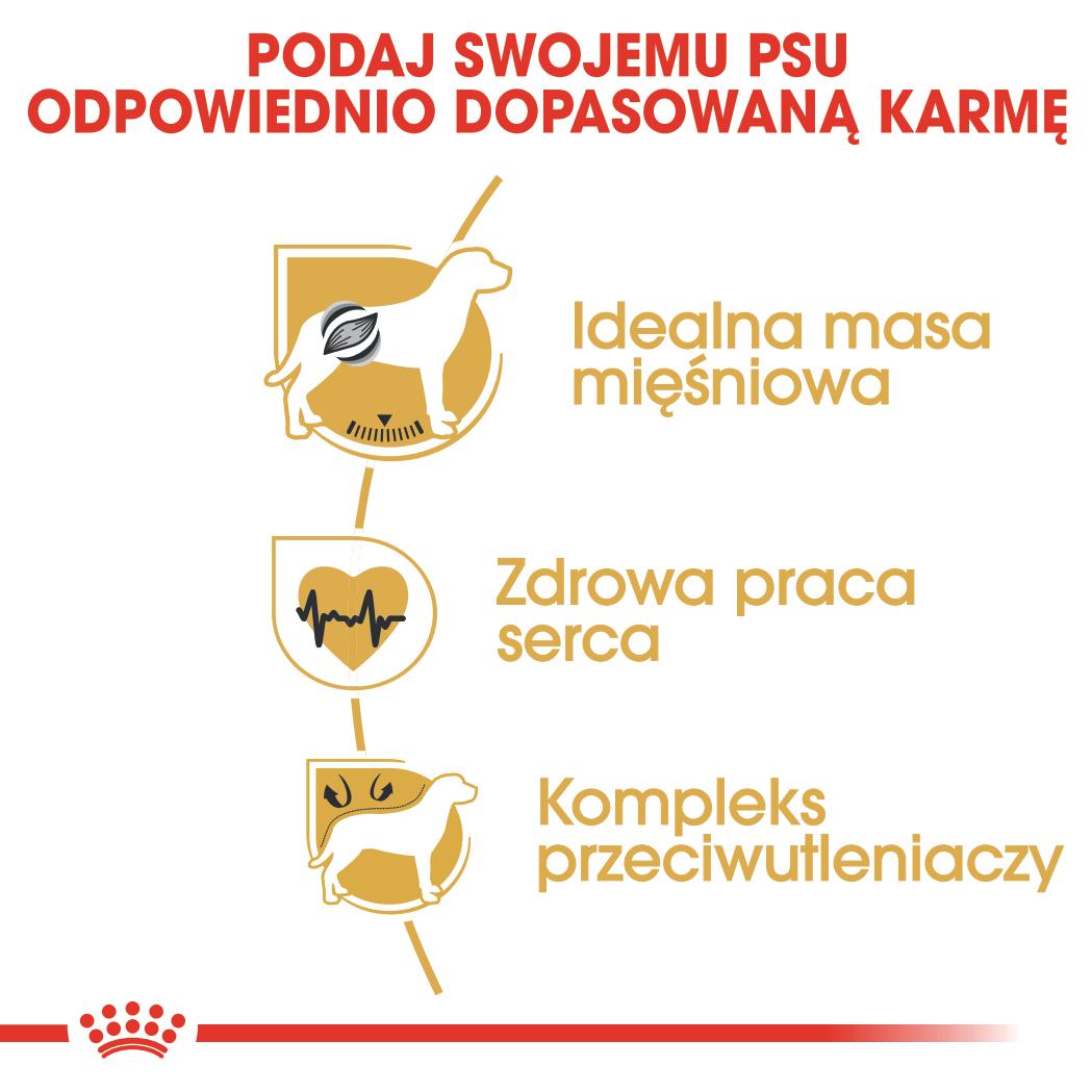 ROYAL CANIN® Boxer Adult karma sucha dla psów dorosłych rasy bokser 12 kg - Image 5
