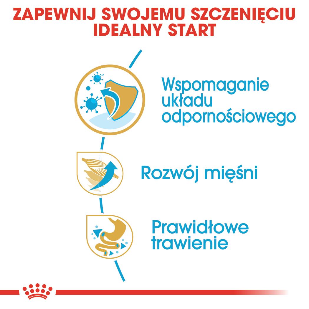 ROYAL CANIN®Boxer Puppy karma sucha dla szczeniąt 12kg - Image 4