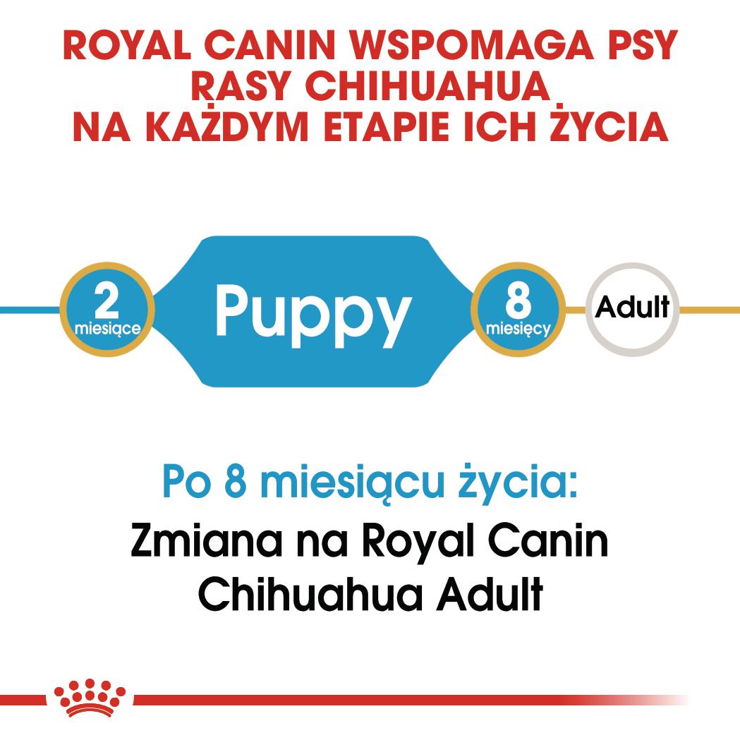 ROYAL CANIN® Pełnoporcjowa karma dla szczeniąt rasy Chihuahua 1.5 kg - Image 2