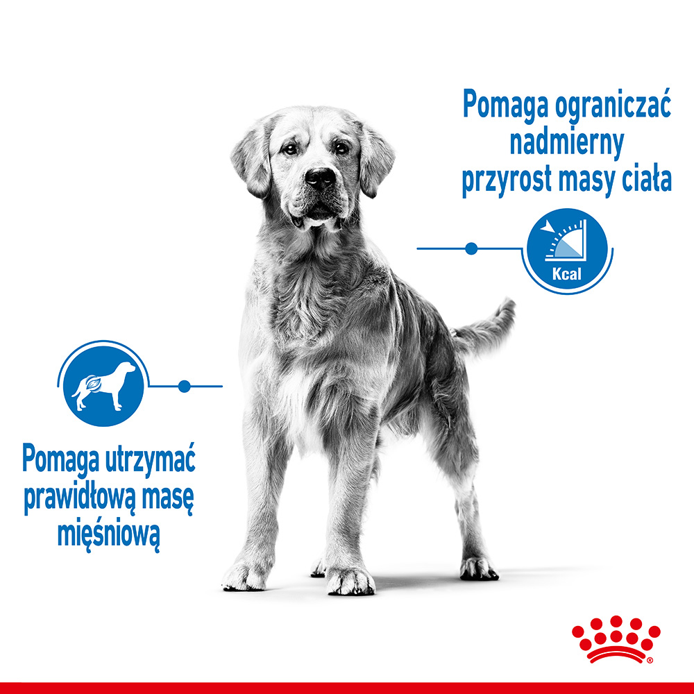 ROYAL CANIN® CCN Medium Light Care karma sucha dla psów dorosłych - Image 2