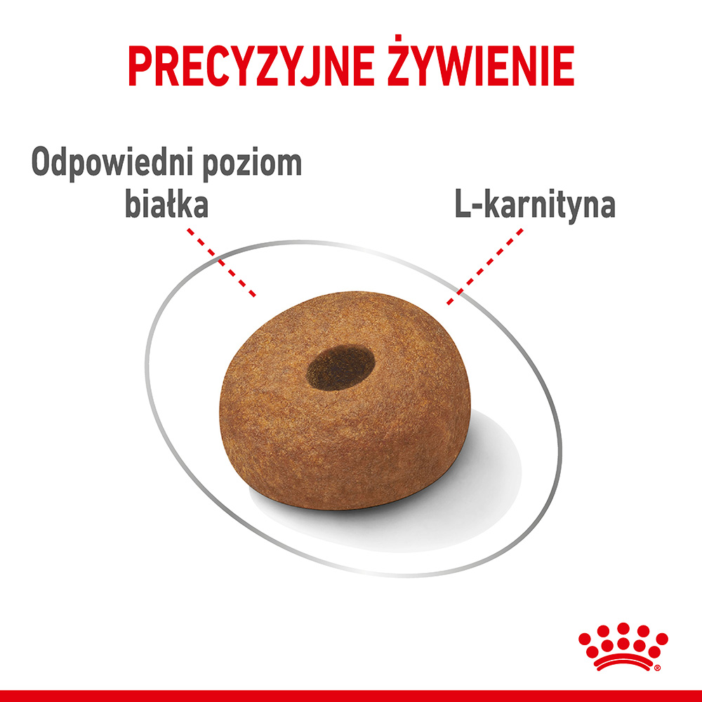 ROYAL CANIN® CCN Medium Light Care karma sucha dla psów dorosłych - Image 4