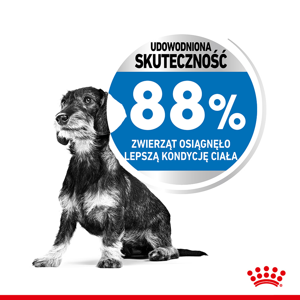 ROYAL CANIN® CCN Medium Light Care karma sucha dla psów dorosłych - Image 3