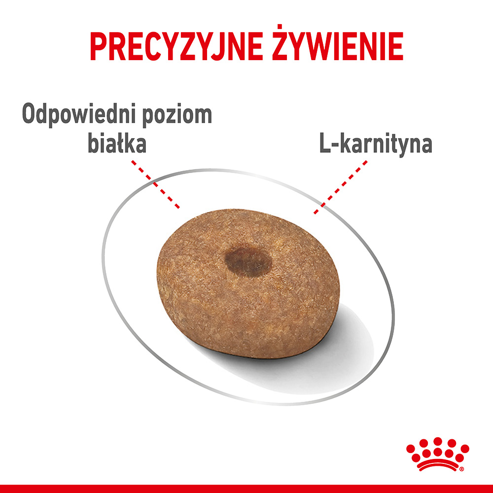 ROYAL CANIN® CCN Medium Light Care karma sucha dla psów dorosłych - Image 4