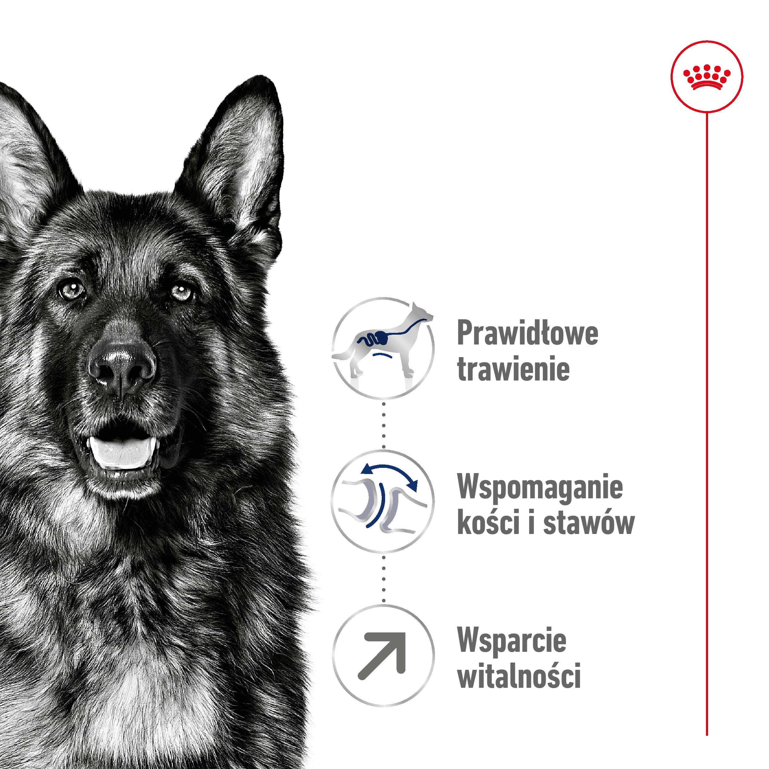 ROYAL CANIN® Maxi Adult 5+ karma sucha dla psów starszych ras dużych 15 kg - Image 2
