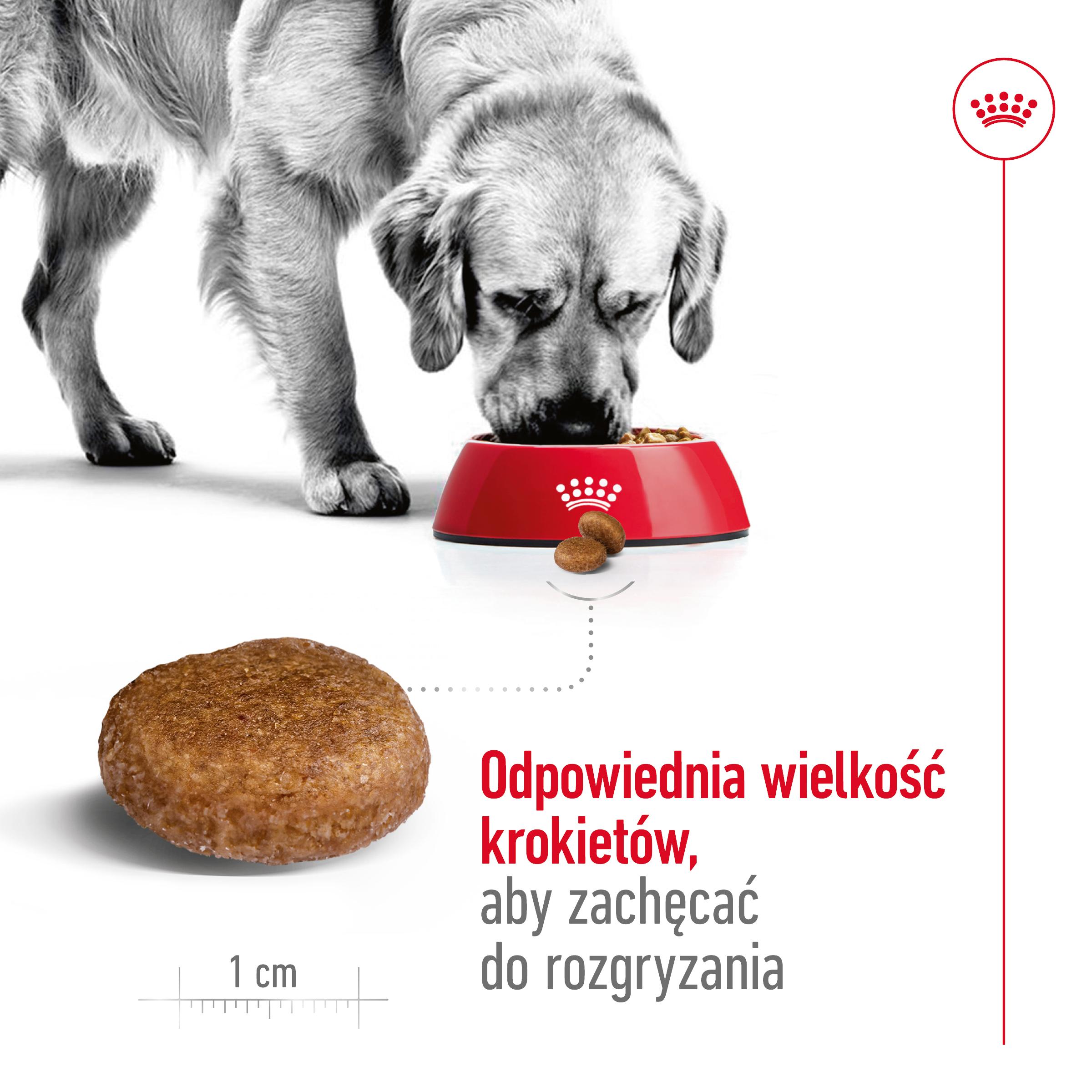 ROYAL CANIN® Maxi Adult 5+ karma sucha dla psów starszych ras dużych 15 kg - Image 4
