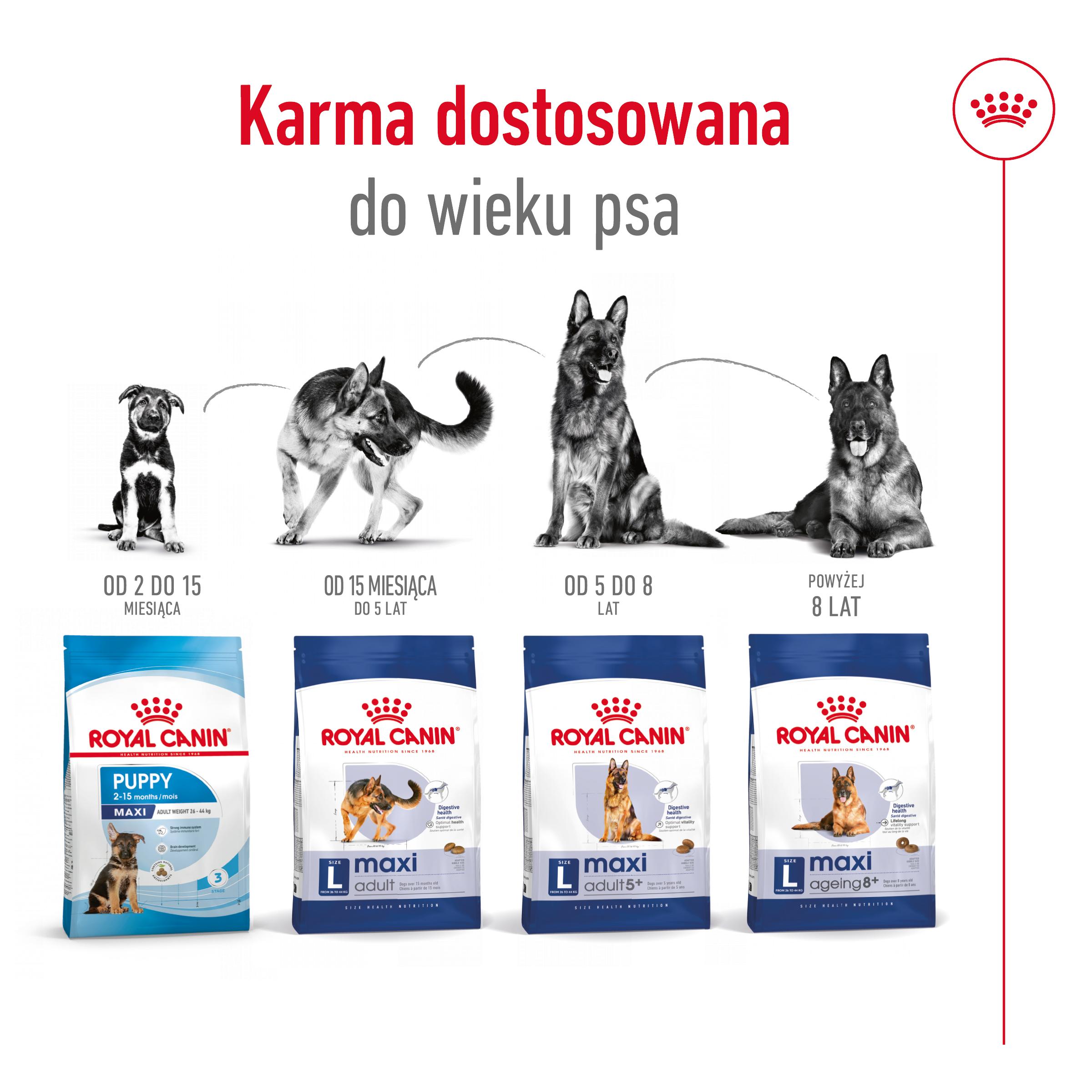 ROYAL CANIN® Maxi Adult 5+ karma sucha dla psów starszych ras dużych 15 kg - Image 5
