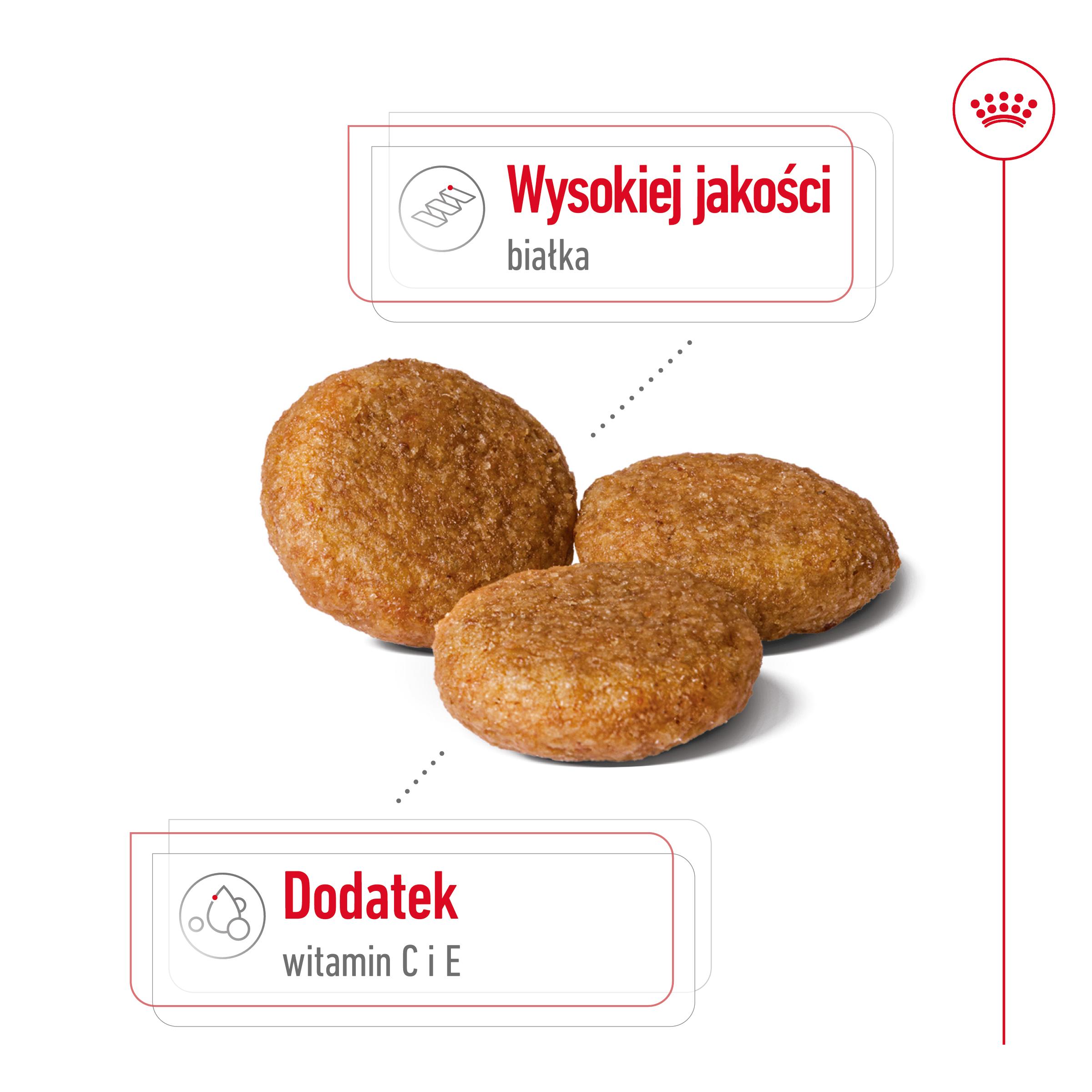 ROYAL CANIN® Medium Adult karma sucha dla psów dorosłych, ras średnich - Image 3