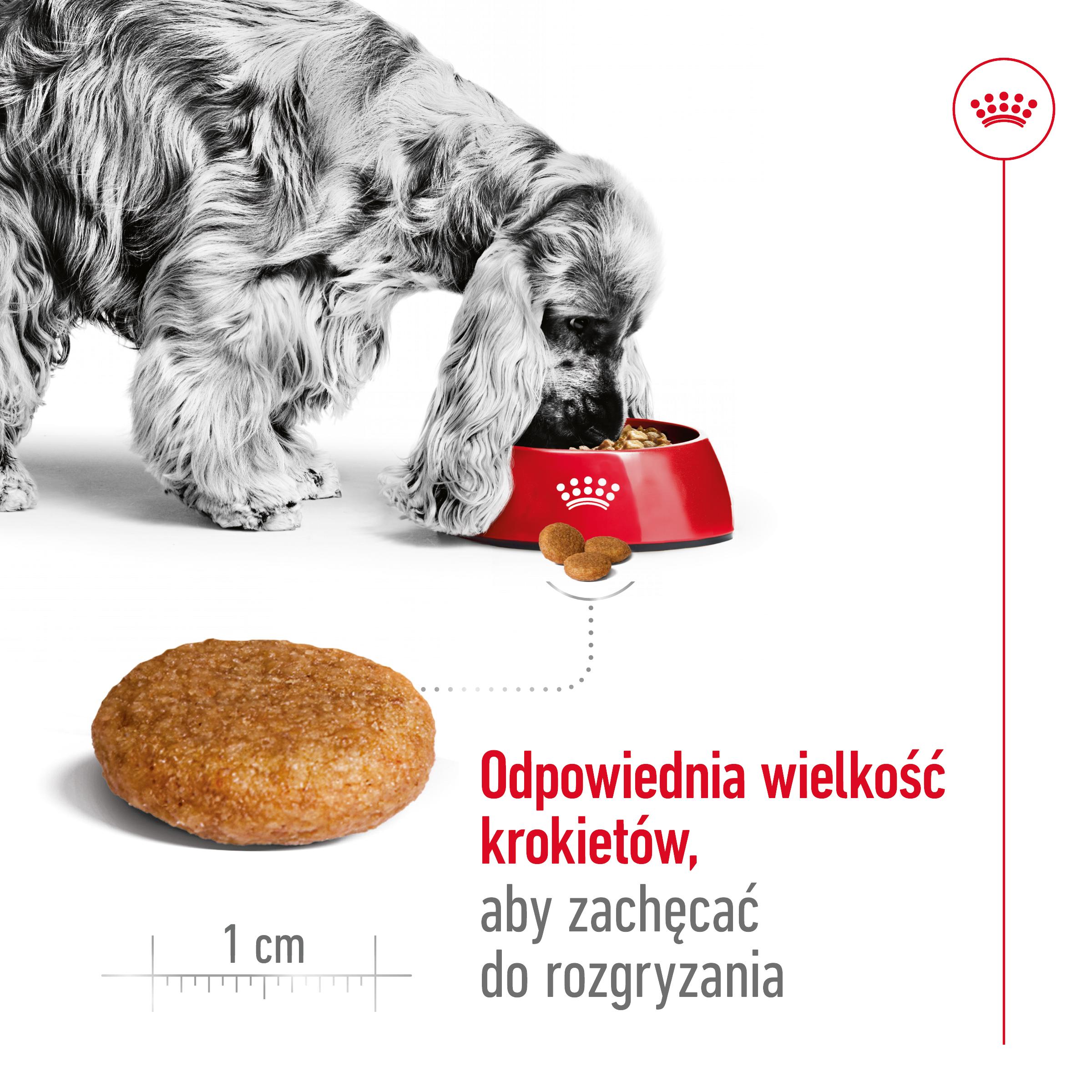 ROYAL CANIN® Medium Adult karma sucha dla psów dorosłych, ras średnich - Image 4