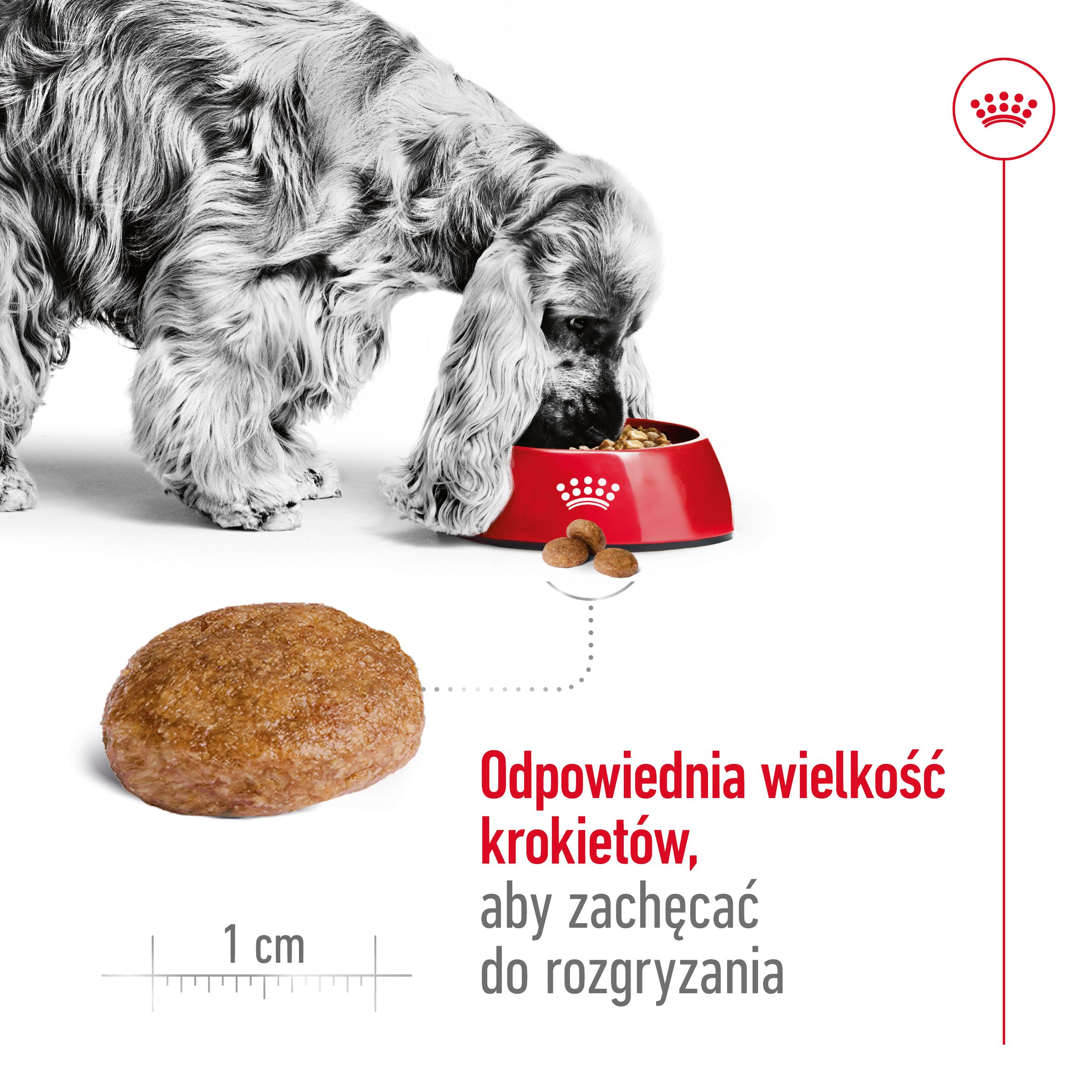 ROYAL CANIN® Medium Adult 7+ karma sucha dla psów 15 kg - Image 4