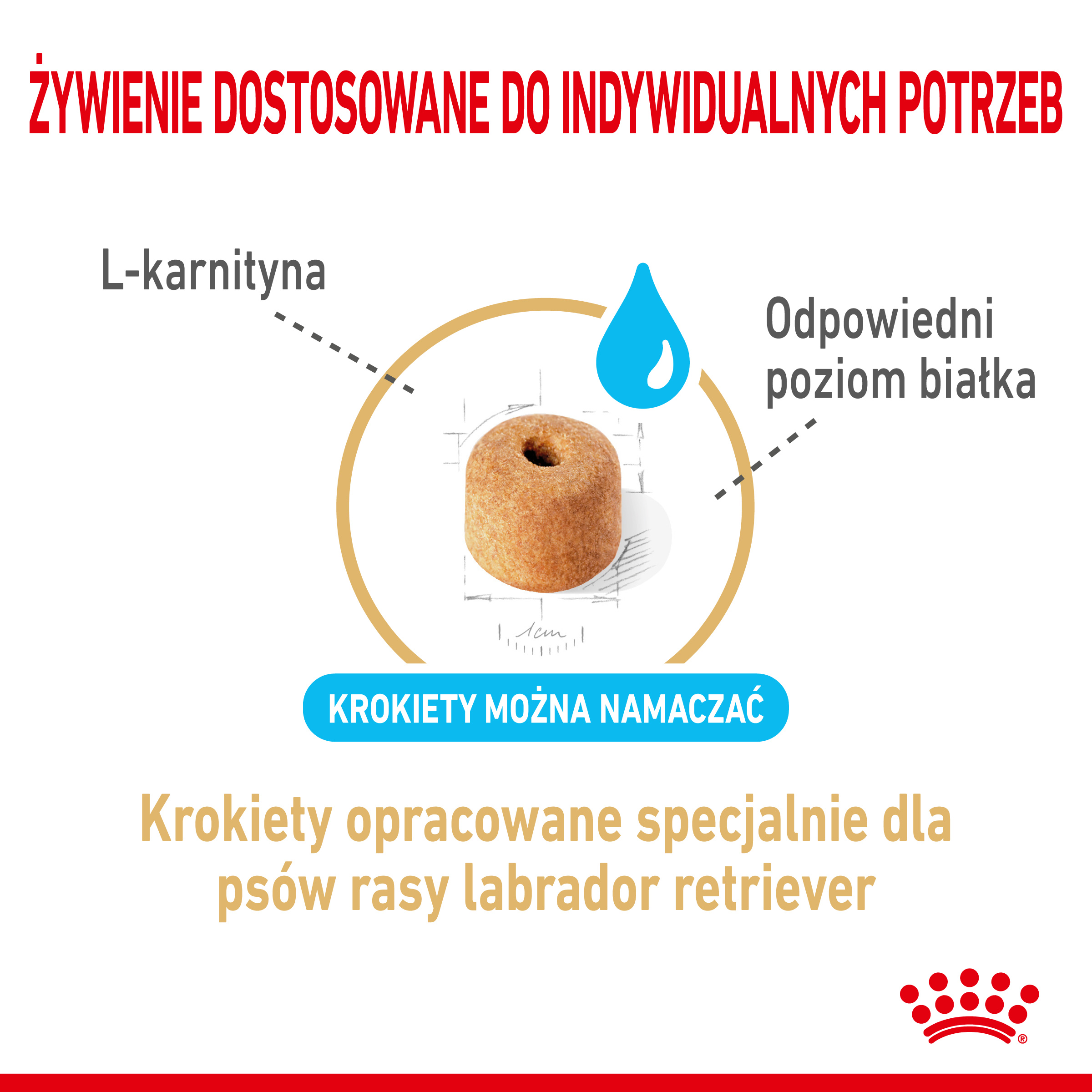 ROYAL CANIN® Labrador Retriever Adult 5+ karma sucha 12kg - Image 3