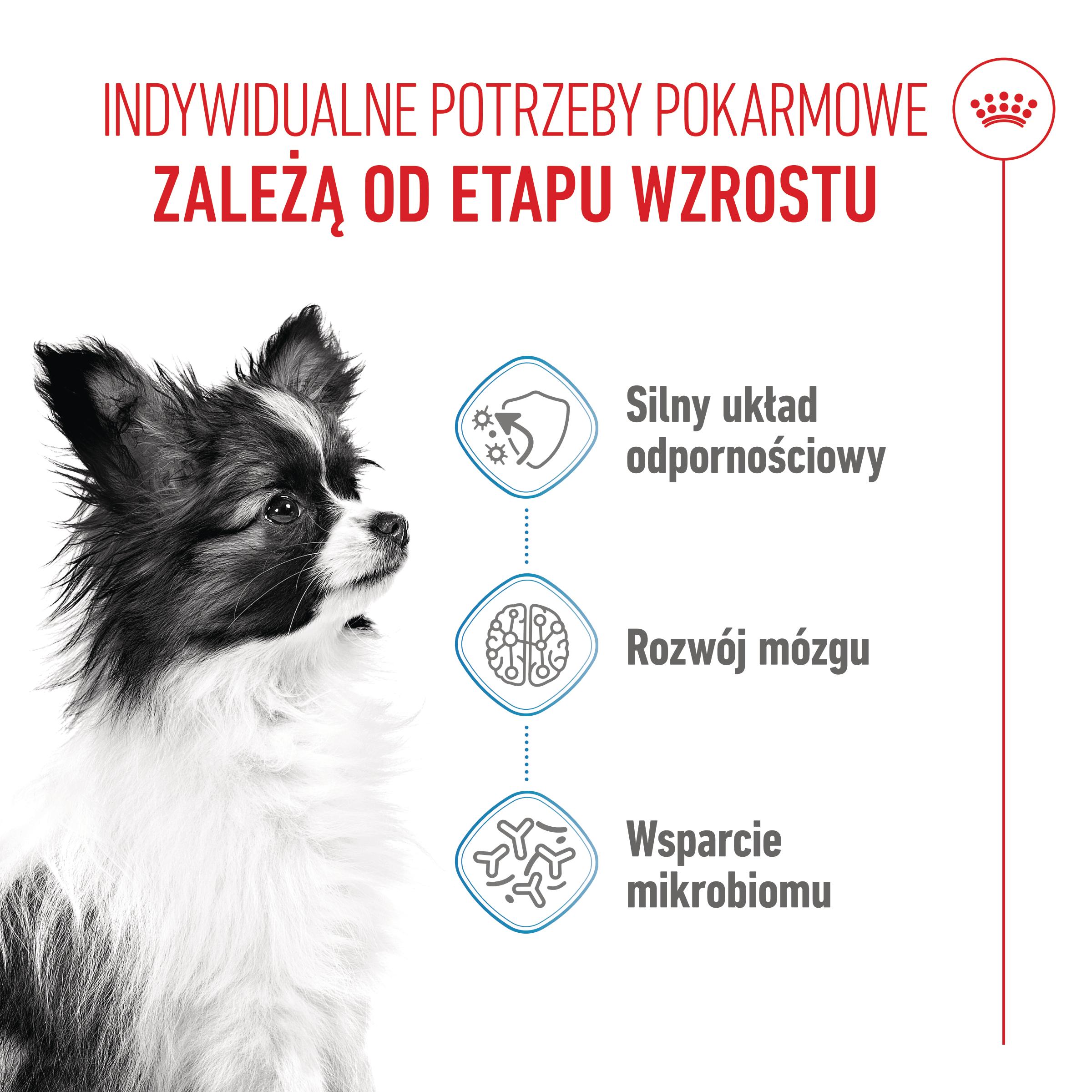 ROYAL CANIN® X-Small Puppy karma sucha dla szczeniąt ras miniaturowych - Image 2