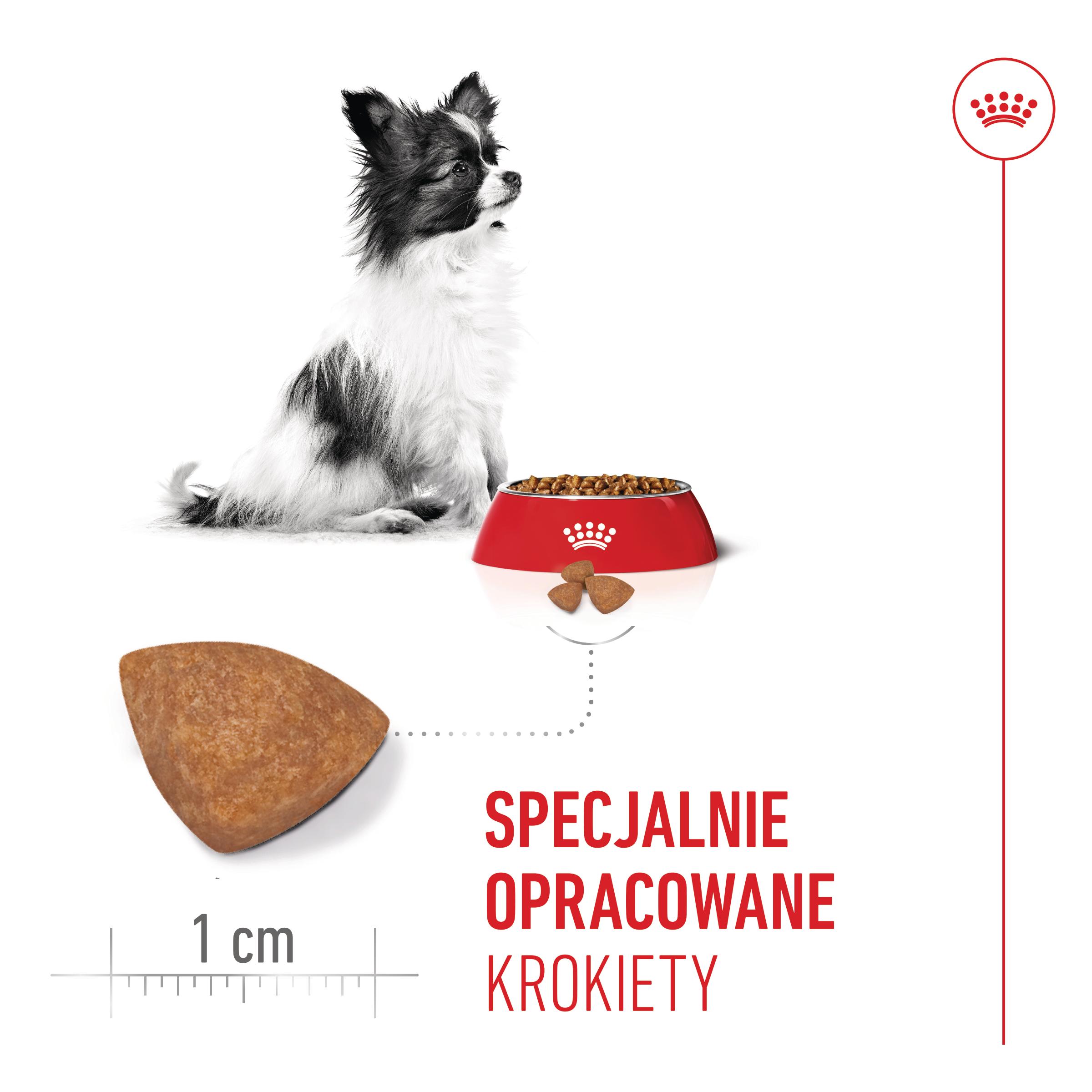 ROYAL CANIN® X-Small Puppy karma sucha dla szczeniąt ras miniaturowych - Image 4