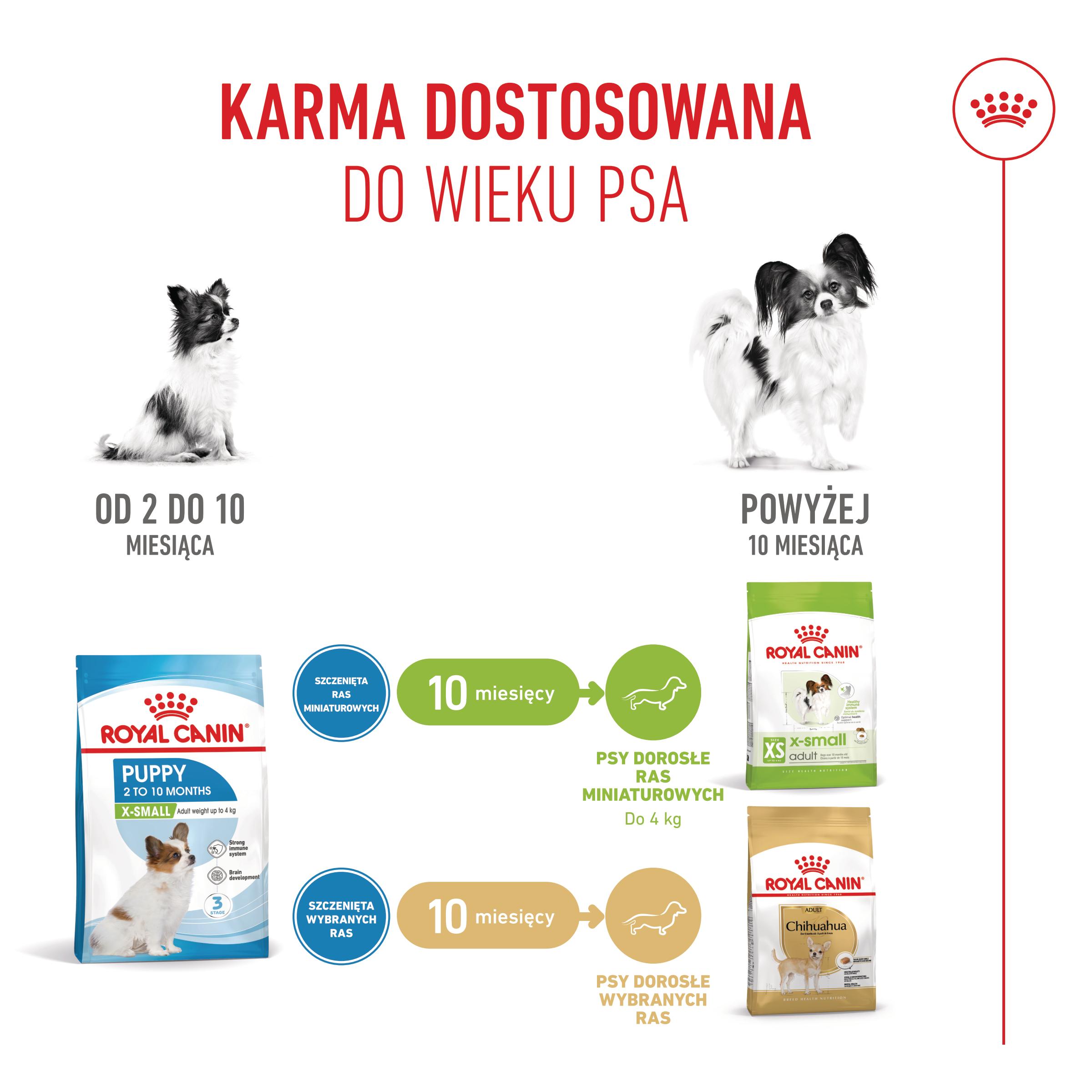 ROYAL CANIN® X-Small Puppy karma sucha dla szczeniąt ras miniaturowych - Image 6